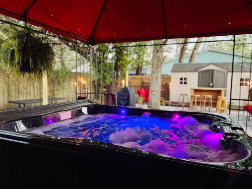 Tropical Casita in Tampa near airport and Raymond James stadium — 4-Star Luxury Hotel in Tampa, United States