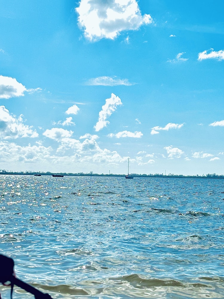 SailorAntics - photo 24
