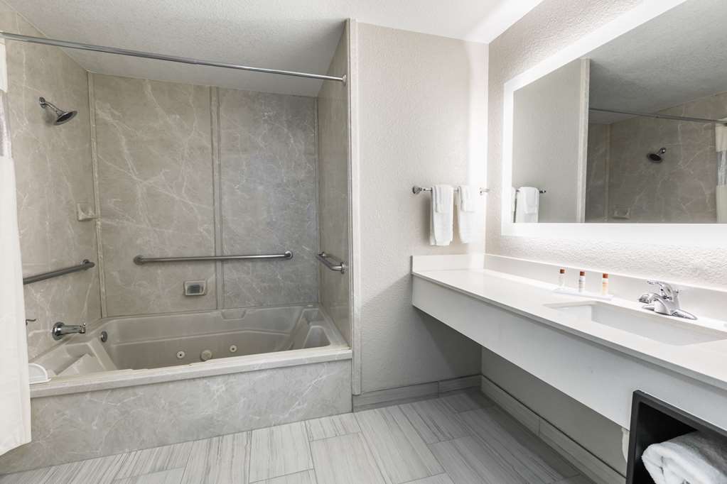 Wingate by Wyndham Dallas Love Field - photo 13