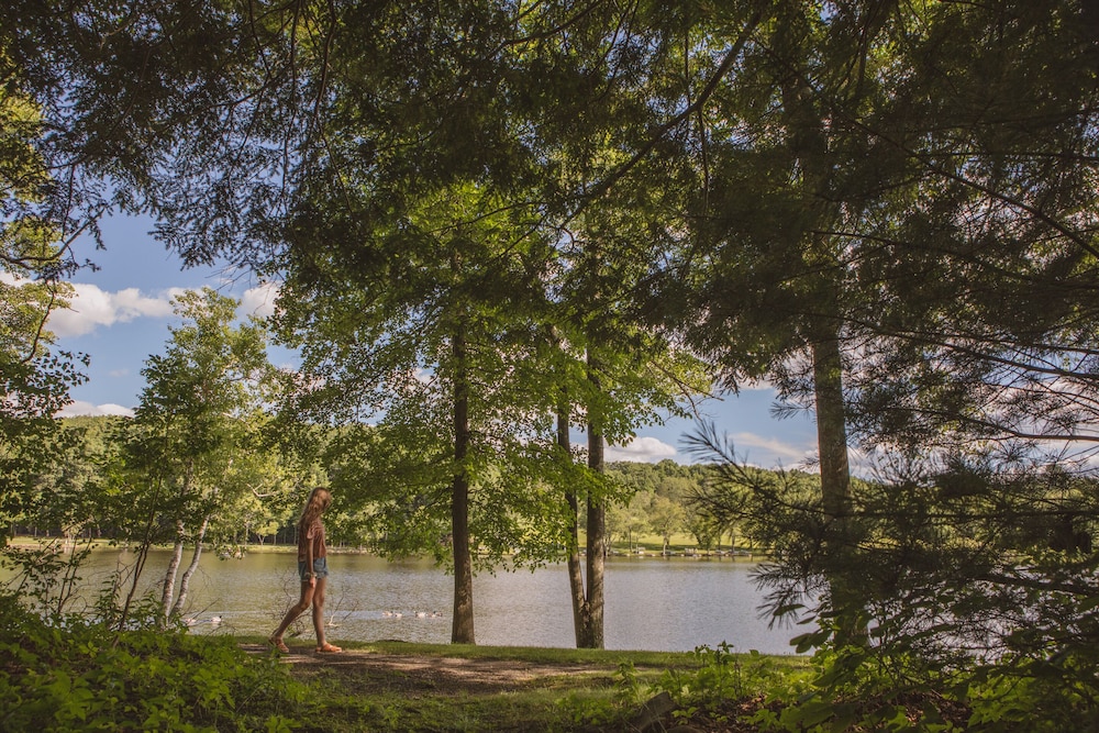 Mountain Springs Lake Resort - photo 335