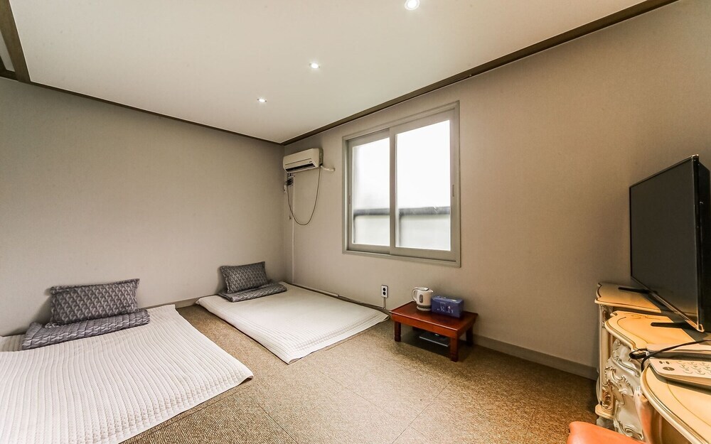 Goseong Equus in Kosong, South Korea