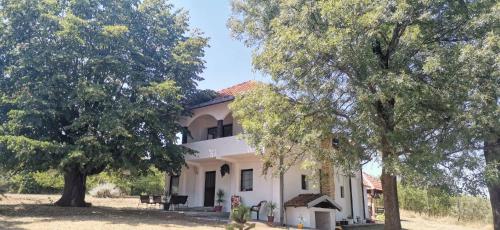 Sopot Paradise in Sopot, Serbia