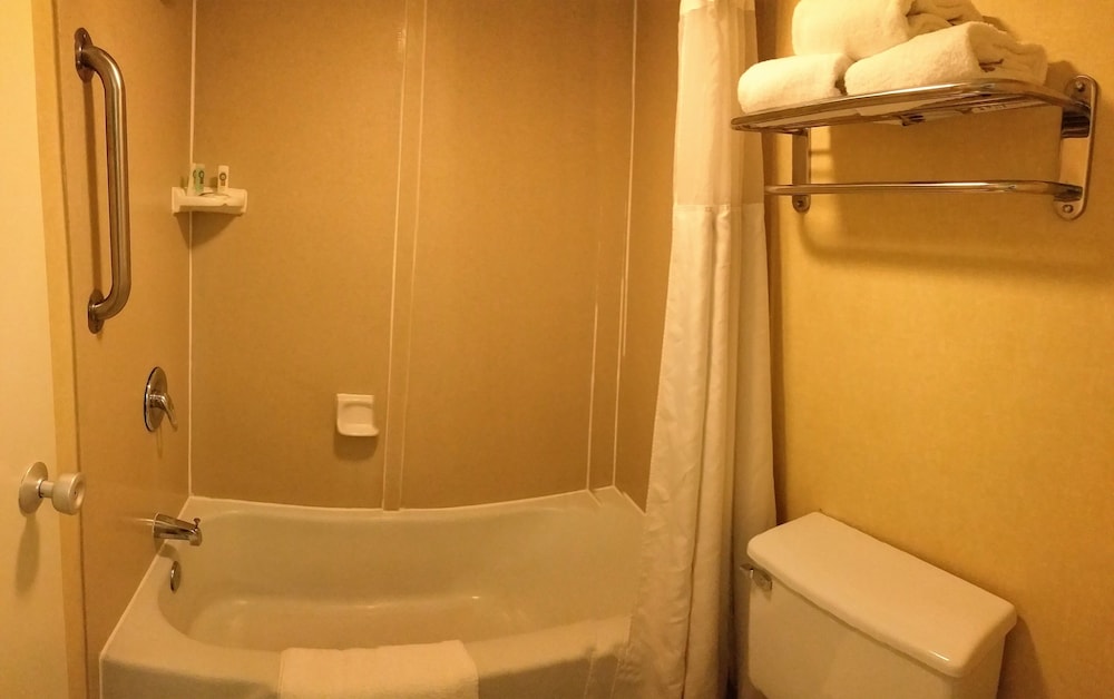 Quality Inn Barstow Route 66 - photo 29