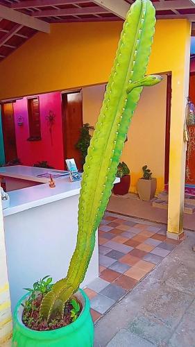 Pousada Malva Branca in Piranhas, Brasil