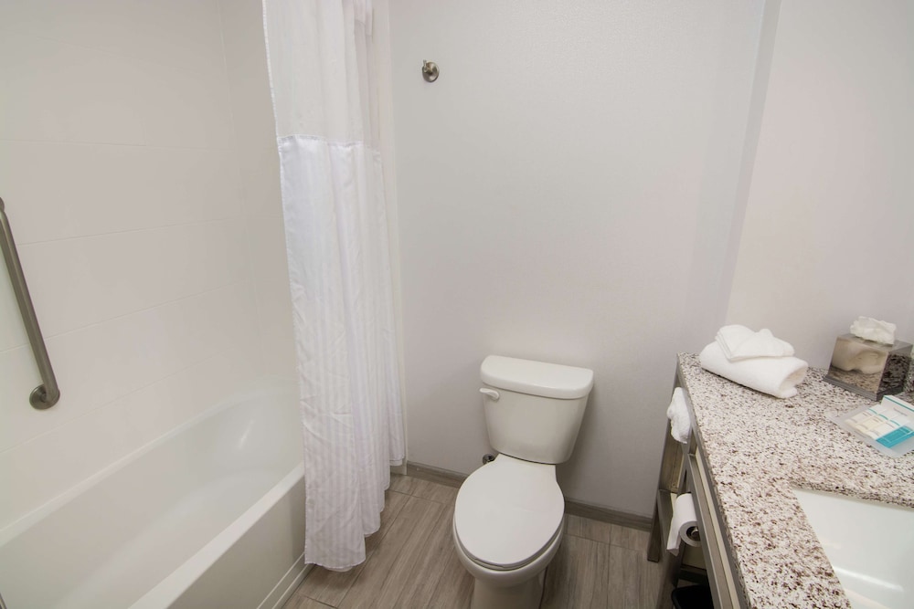 Hilton Garden Inn Tampa Suncoast Parkway - photo 46