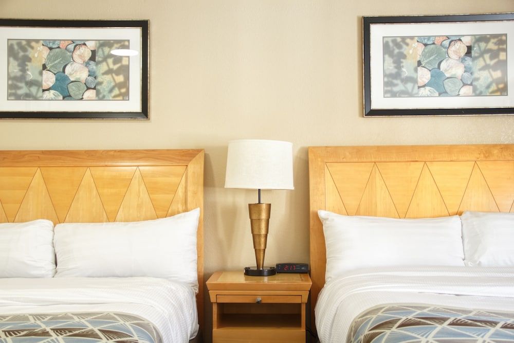 Mount Royal Inn - photo 14