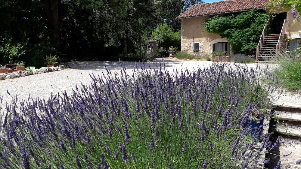 Les Vitarelles en Quercy — hotel in Carsac-Aillac