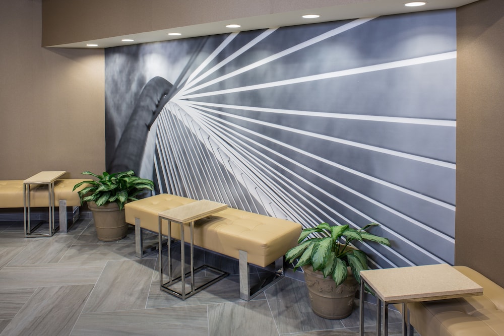 Marriott Tampa Westshore - photo 7