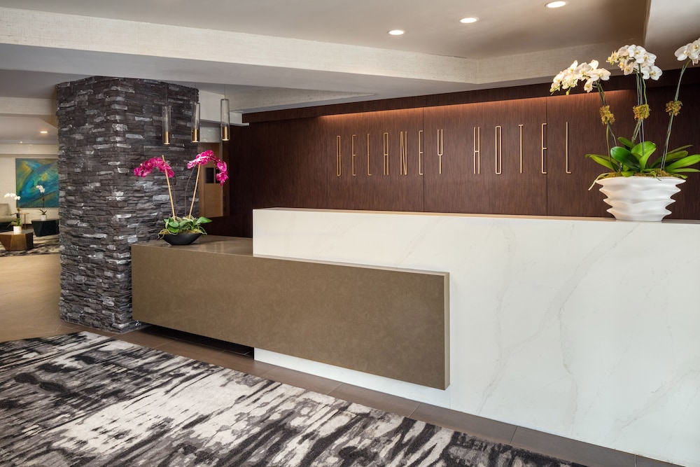 The Delaney Hotel - featured photo