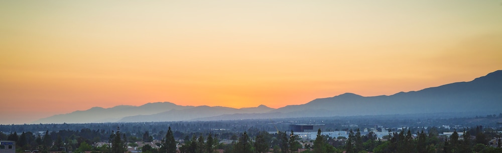 Ontario Airport Hotel & Conference Center - photo 45