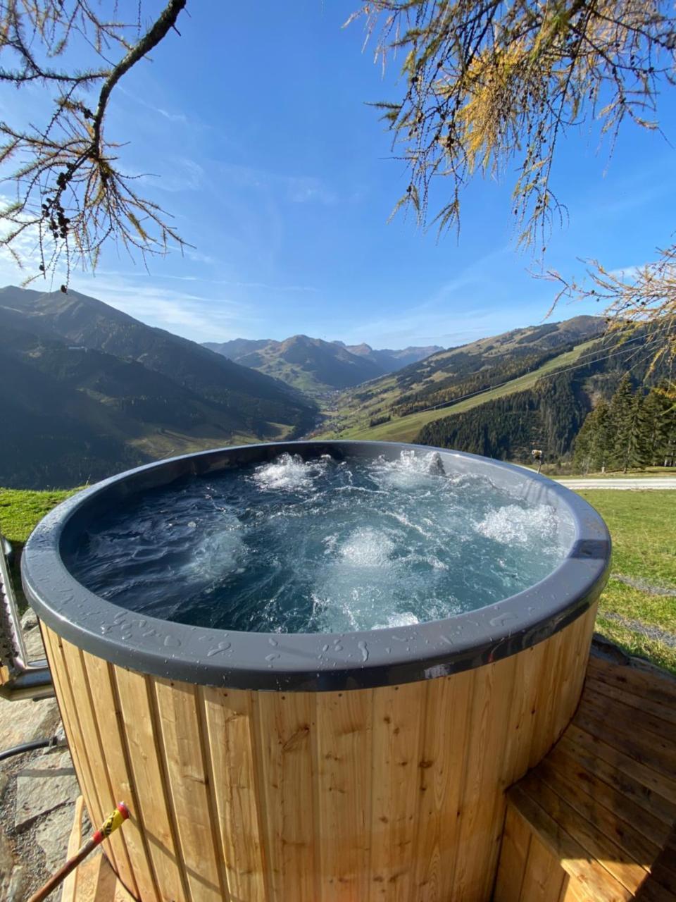 Sinnlehen Alm — Saalbach — photo 3