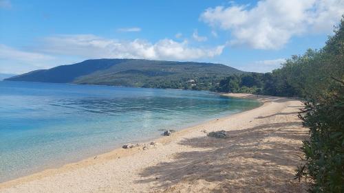 Gavza Joy — Cres — photo 3