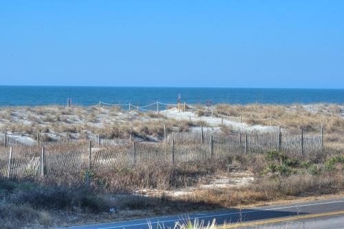 Shells Yeah - photo 11