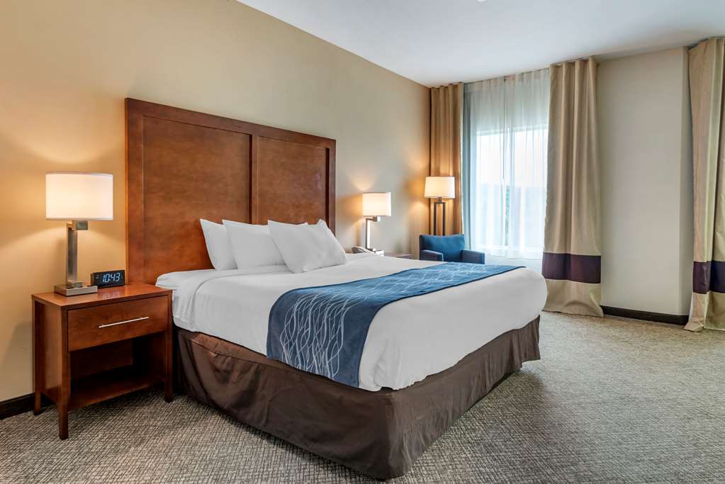 Comfort Inn Apalachin Binghamton W Route 17 - photo 22