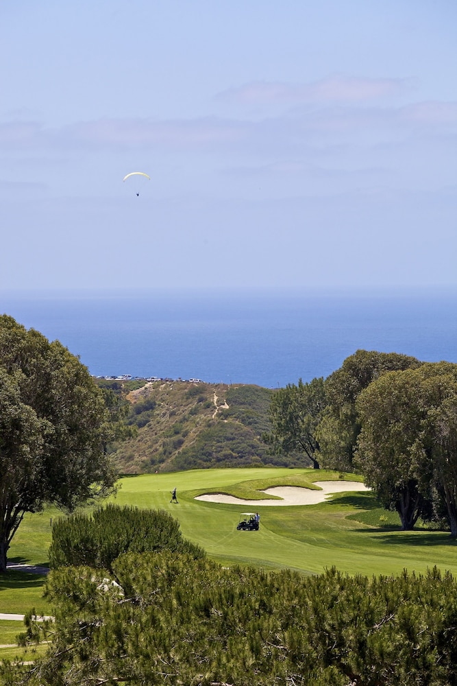 Hilton La Jolla Torrey Pines - photo 82