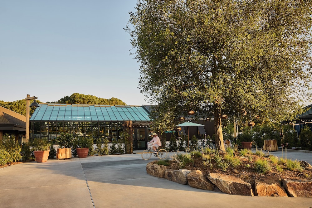 Treehouse Hotel Silicon Valley - photo 44