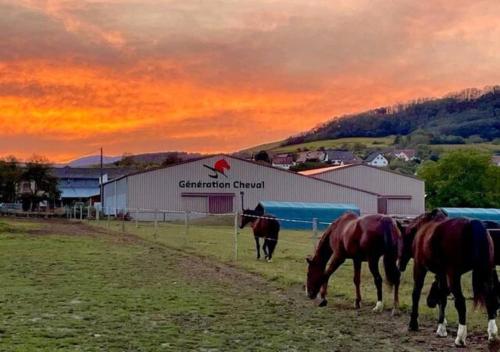 Ferme Equestre Vue Unique Sur Les Chevaux - carbon neutral hotel in Unknown City