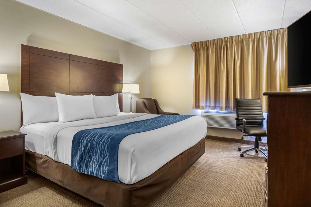 Comfort Inn Grand Rapids Airport - photo 21