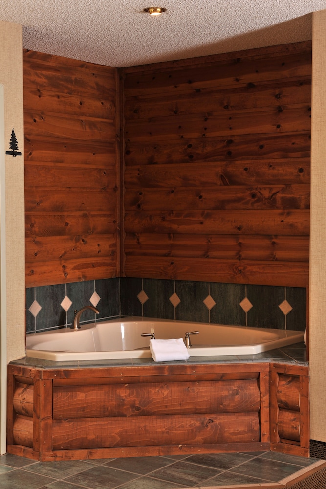 Boarders Inn & Suites by Cobblestone Hotels Waukon - photo 25