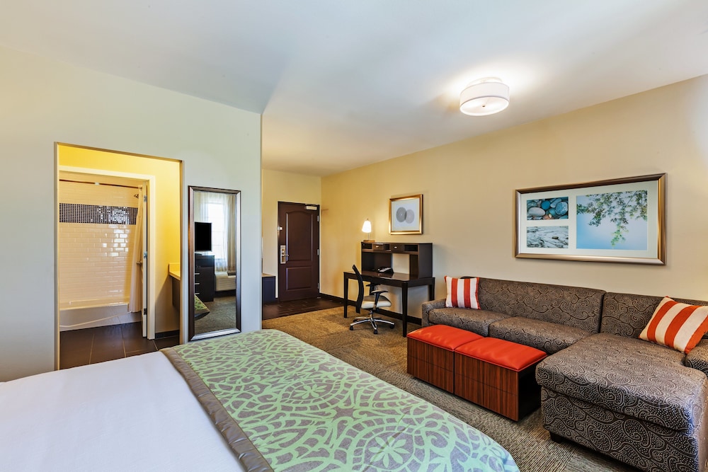 Staybridge Suites Fort Worth Fossil Creek by IHG - photo 7