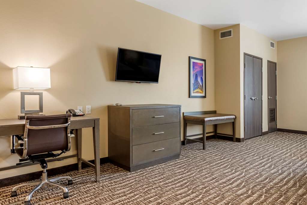Comfort Suites Near Sam Houston Race Park - photo 14