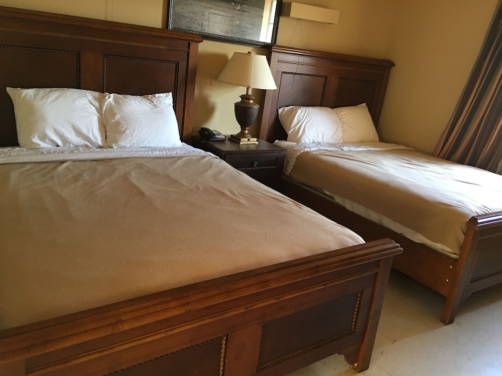 Reddy Inn and Suites - photo 18