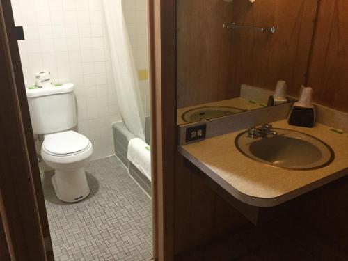 Towne Center Motel - photo 66