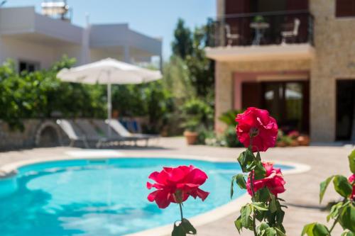Erodios Villas 1 — 4-Star Luxury Hotel in Gerani, Greece
