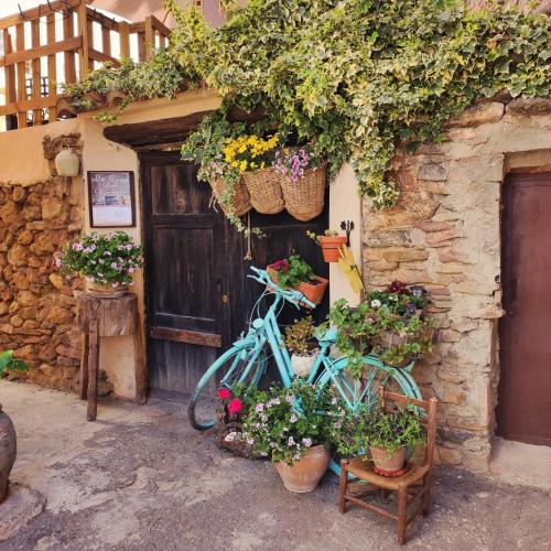Alcoba Con Patio Del Siglo XIX pet-friendly hotel Villanueva De Viver