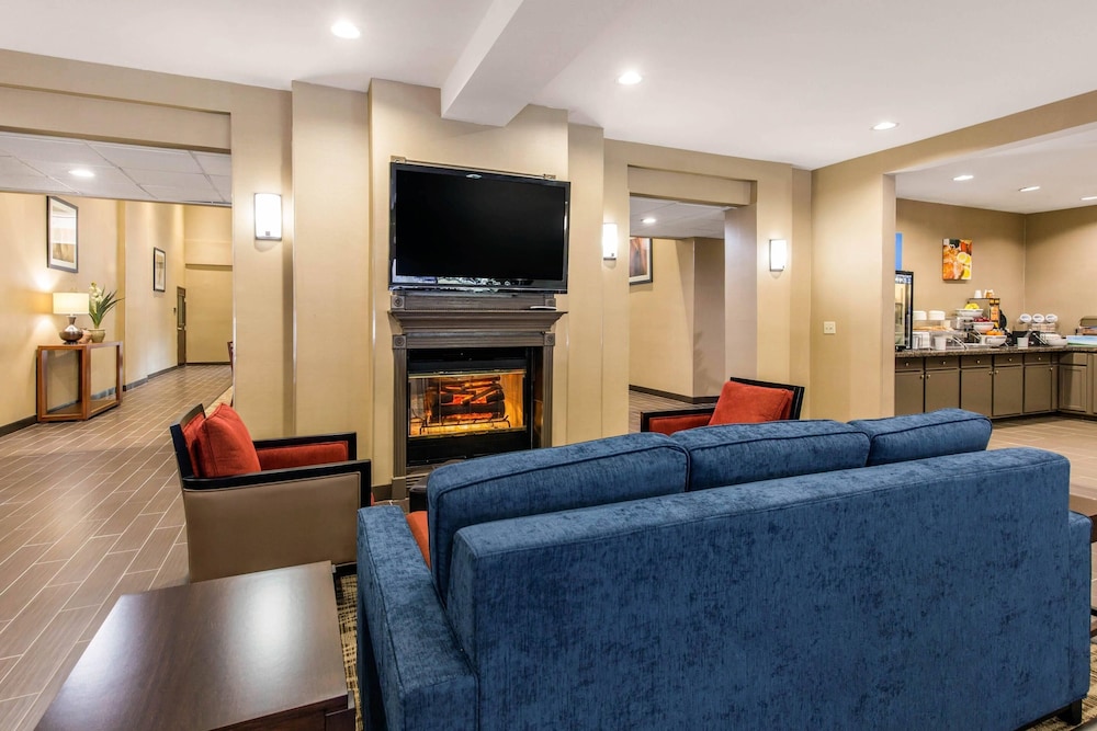 Comfort Inn & Suites IAH Bush Airport East - photo 3