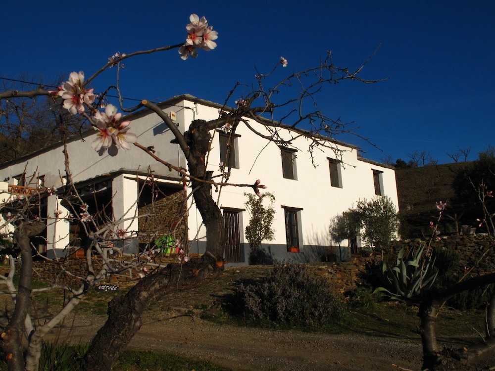 Casitas El Paraje de Berchules — 4-Star Luxury Hotel in Berchules, Spain