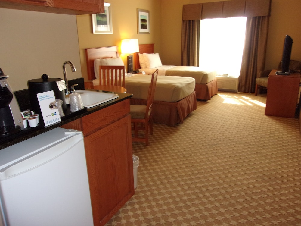 Holiday Inn Express & Suites Chicago West Roselle by IHG - photo 14