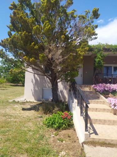 Hill View 4 — Alexandroupoli — photo 5