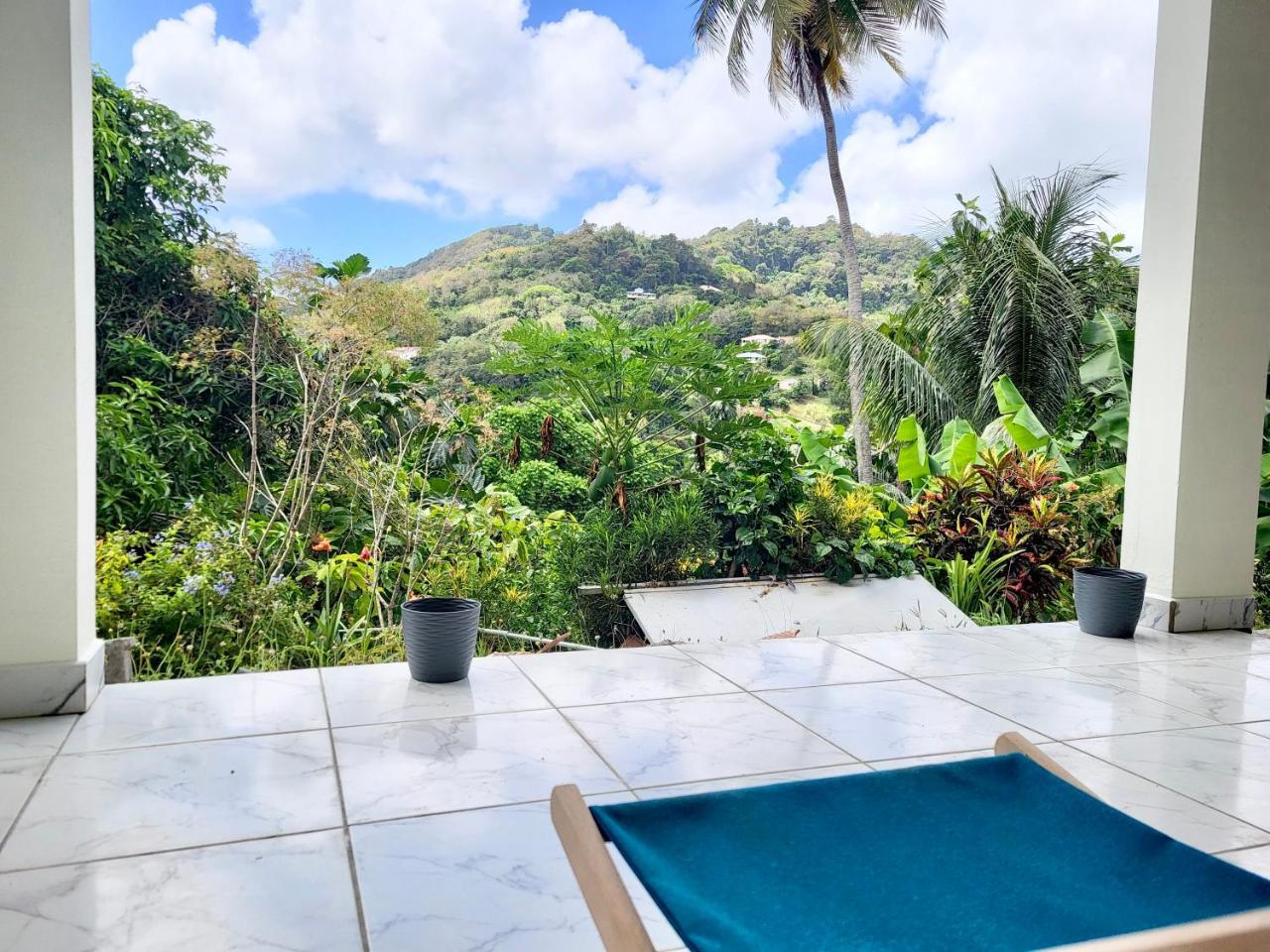 Vue Magnifique Sur La Nature Proche Des Plages 4 A 6 Pers in Riviere-Pilote, Martinique
