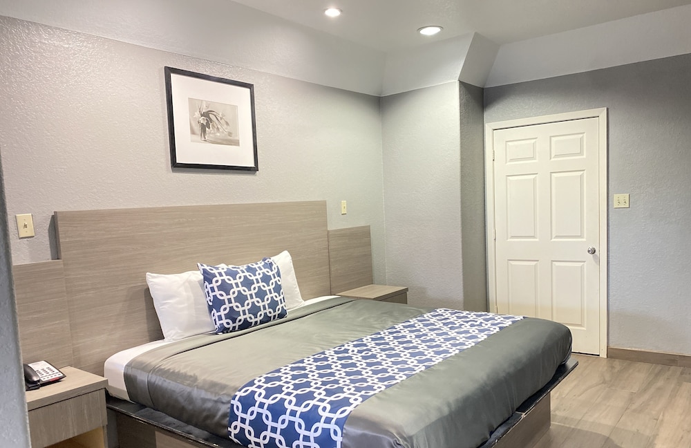 Island Suites - photo 19