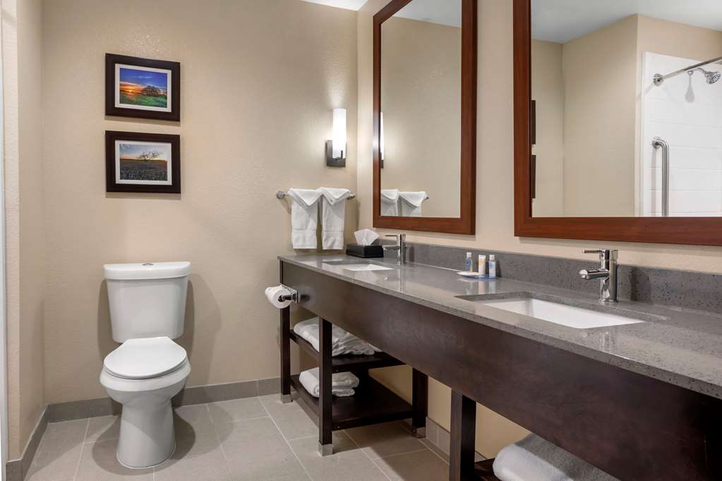 Comfort Inn & Suites Euless DFW West - photo 24