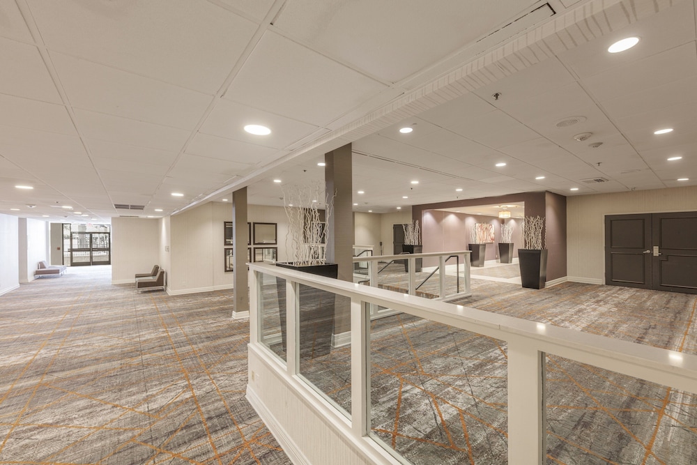 Holiday Inn Austin Midtown by IHG - photo 63