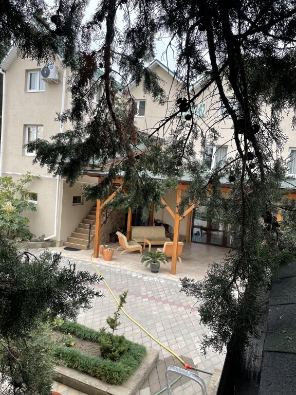 Tri Sezona — Sochi — photo 4