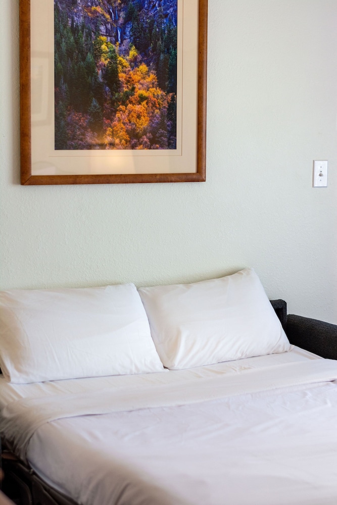 Swiss Alps Inn - photo 10