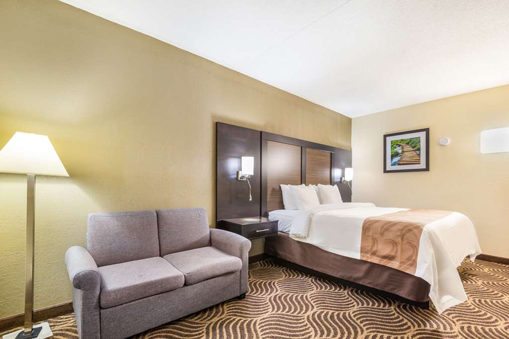 Quality Inn & Suites Florence Cincinnati South - photo 29