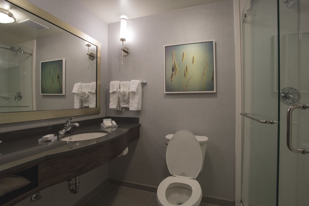 Hilton Garden Inn Bolingbrook I 55 - photo 22