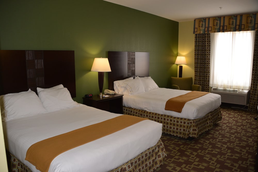 Holiday Inn Express Hotel & Suites Dumas by IHG - photo 4
