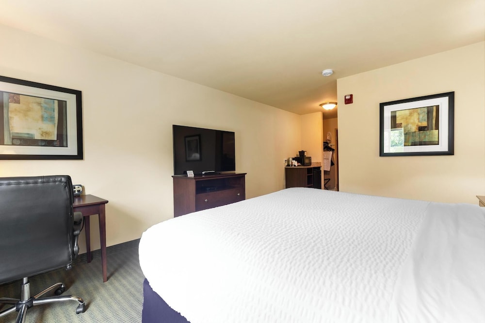 Cobblestone Hotel & Suites Knoxville - photo 21