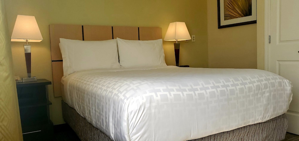 Candlewood Suites Houston Medical Center - photo 6