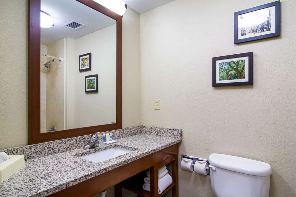 Comfort Inn Blackshear Hwy 84 - photo 19