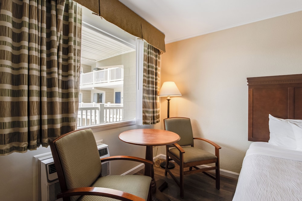 Oceanus Motel - photo 11