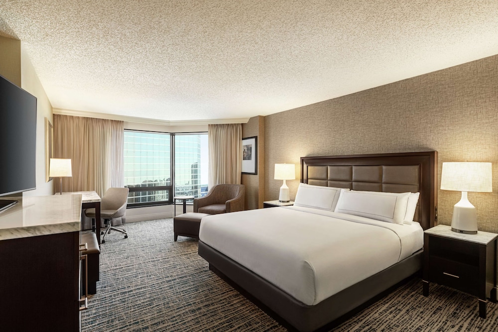 Hilton Tampa Downtown - photo 49
