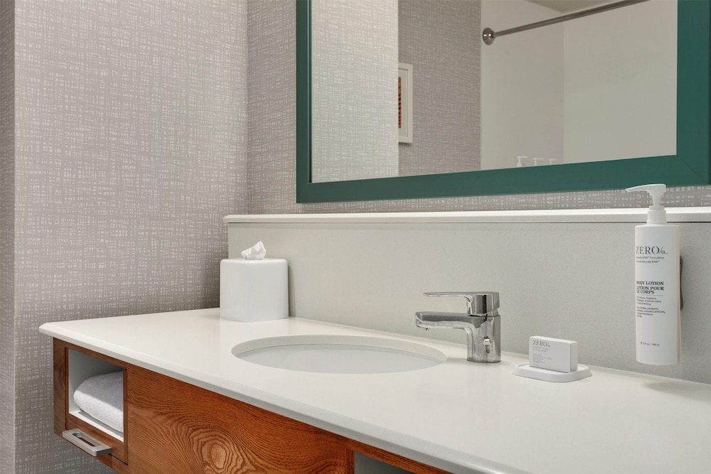 Hampton Inn & Suites Tampa Busch Gardens Area - photo 32