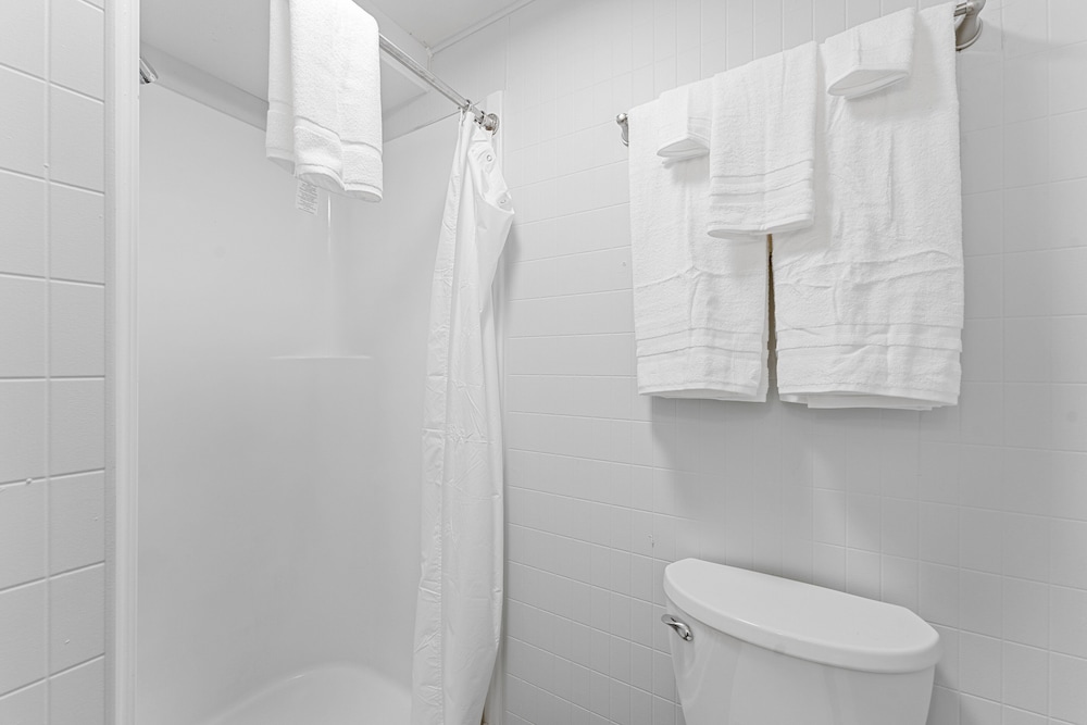 Silver Cove Resort on Table Rock unit 17 - photo 15