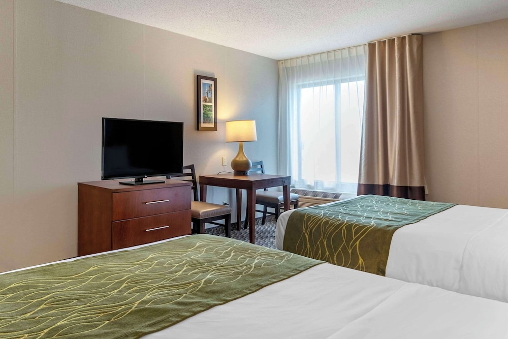 Comfort Inn Charlotte - photo 15